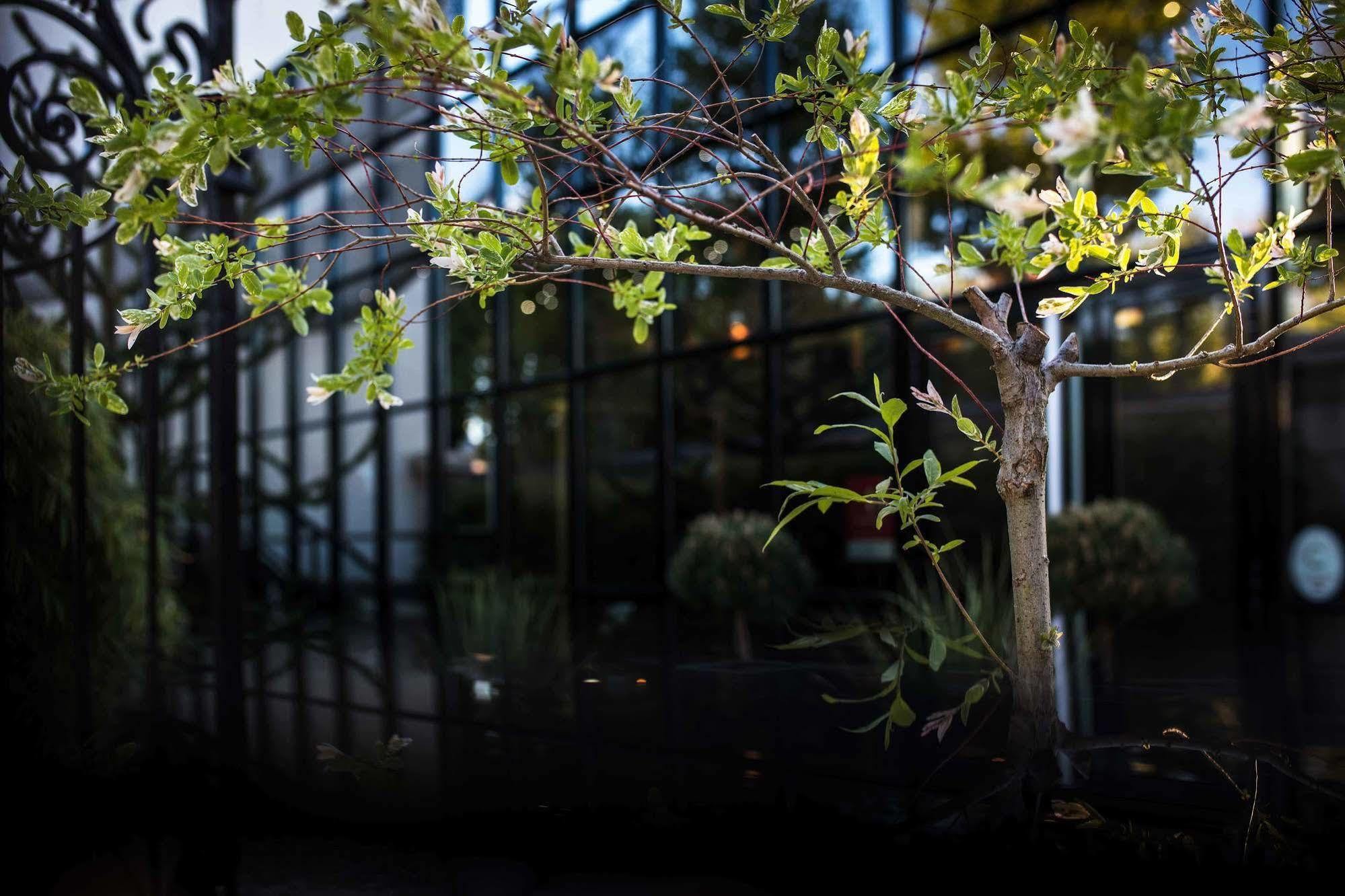 Maison Decoret - Relais & Chateaux วิชี ภายนอก รูปภาพ